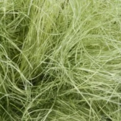 Semperfli SemperSeal Substitute Dubbing