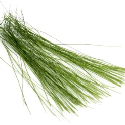 Hair & Fur Semperfli Boar Bristles 20 Hair & Fur Semperfli Boar Bristles