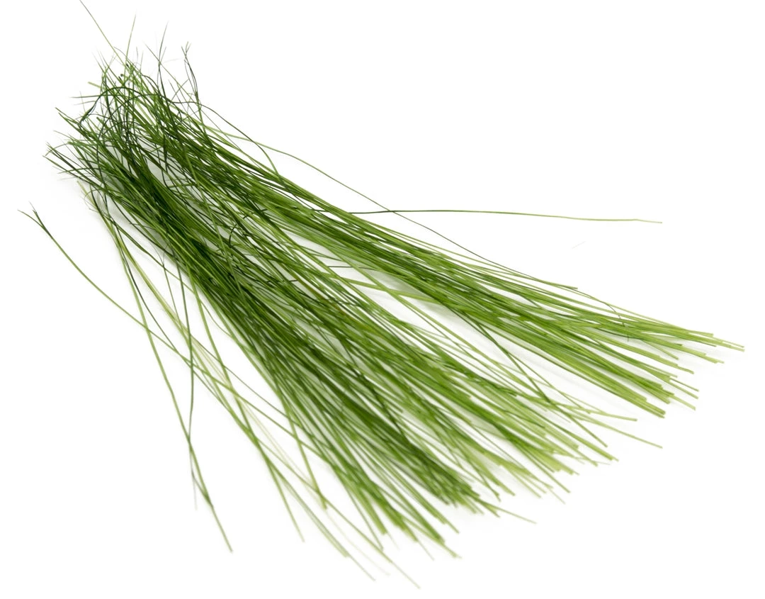 Hair & Fur Semperfli Boar Bristles 11 Hair & Fur Semperfli Boar Bristles