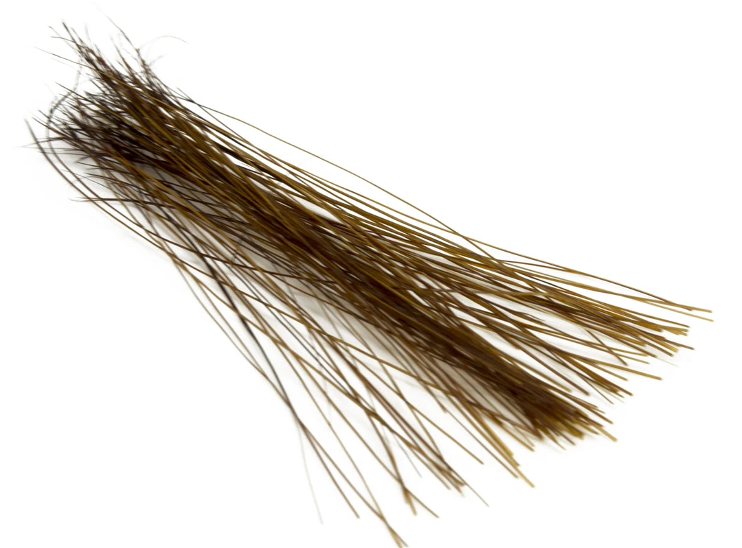 Hair & Fur Semperfli Boar Bristles 4 Hair & Fur Semperfli Boar Bristles
