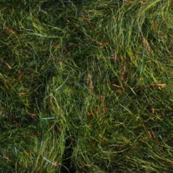 Rohmer Dubbing Arizona Simi Seal