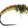 Umpqua Egan's GTI Caddis - Cream Shop Flies