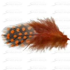 Hareline UV2 Large Eyed Guinea Feathers & Marabou