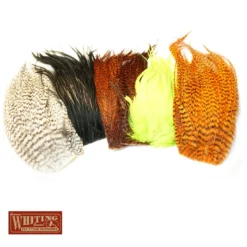 Whiting Bugger Packs Hackle
