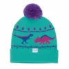 Coal The Dinosaur Graphic Pom Beanie