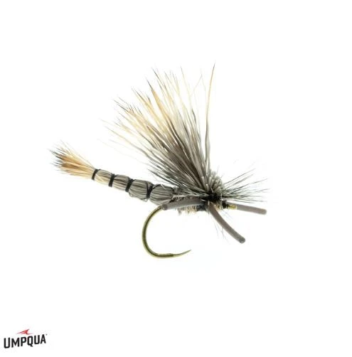 Umpqua Shop Flies DJL Drake - Gray 3 Umpqua Shop Flies DJL Drake - Gray